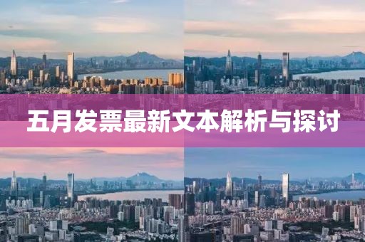 五月发票最新文本解析与探讨
