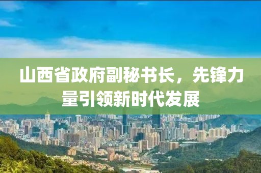 山西省政府副秘书长，先锋力量引领新时代发展