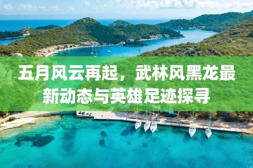 五月风云再起，武林风黑龙最新动态与英雄足迹探寻