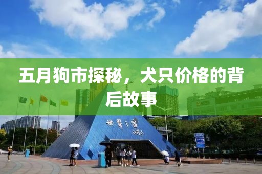 五月狗市探秘，犬只价格的背后故事