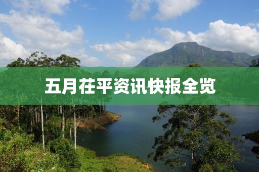 五月茌平资讯快报全览