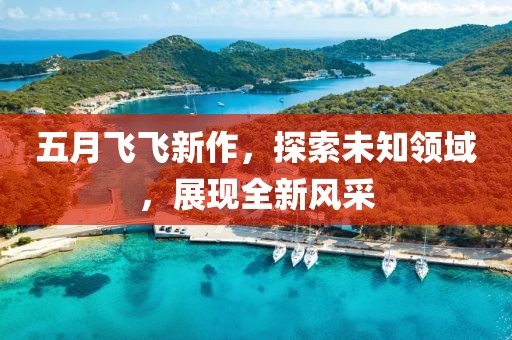 五月飞飞新作，探索未知领域，展现全新风采