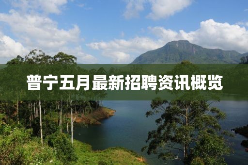 普宁五月最新招聘资讯概览