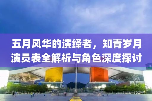 五月风华的演绎者，知青岁月演员表全解析与角色深度探讨