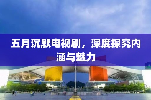 五月沉默电视剧，深度探究内涵与魅力