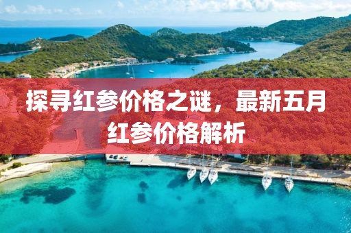 探寻红参价格之谜，最新五月红参价格解析