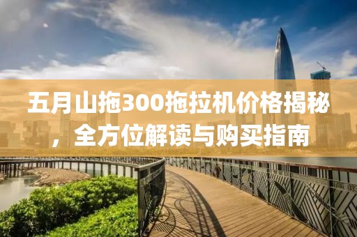五月山拖300拖拉机价格揭秘，全方位解读与购买指南
