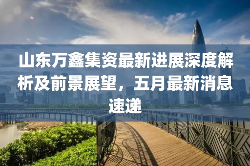 山东万鑫集资最新进展深度解析及前景展望，五月最新消息速递