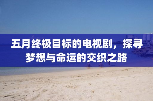 五月终极目标的电视剧，探寻梦想与命运的交织之路