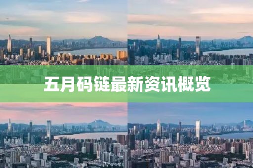 五月码链最新资讯概览