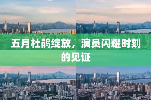 五月杜鹃绽放，演员闪耀时刻的见证