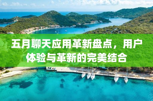 五月聊天应用革新盘点，用户体验与革新的完美结合