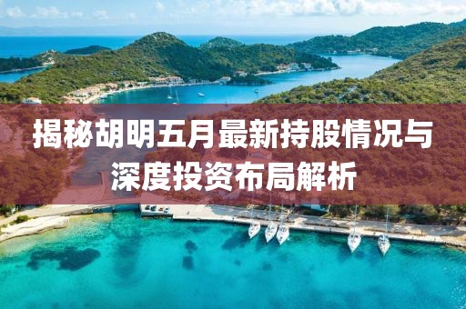 揭秘胡明五月最新持股情况与深度投资布局解析