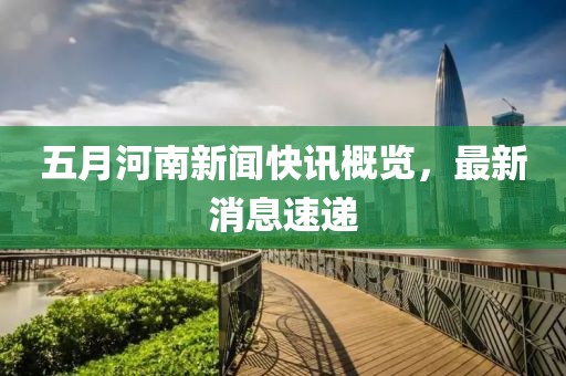 五月河南新闻快讯概览，最新消息速递