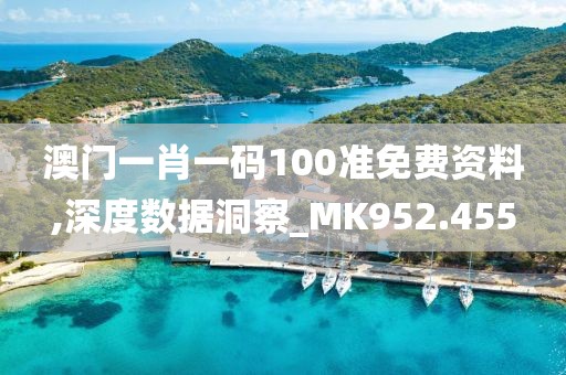澳门一肖一码100准免费资料,深度数据洞察_MK952.455