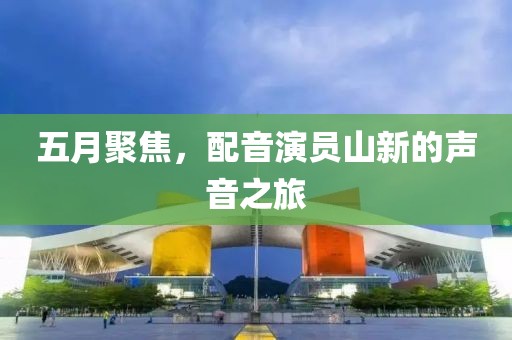 五月聚焦，配音演员山新的声音之旅