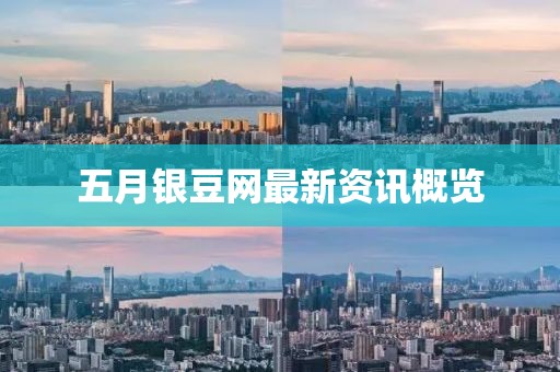 五月银豆网最新资讯概览