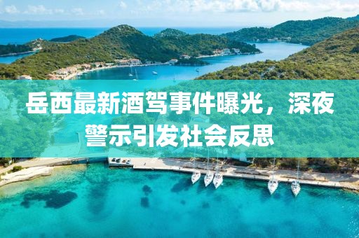 岳西最新酒驾事件曝光，深夜警示引发社会反思