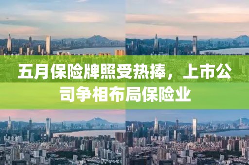 五月保险牌照受热捧，上市公司争相布局保险业