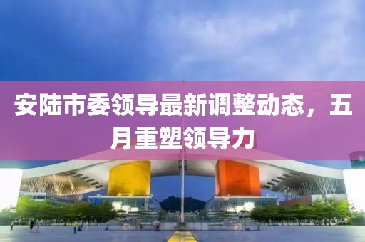 安陆市委领导最新调整动态，五月重塑领导力