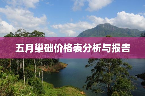 五月巢础价格表分析与报告
