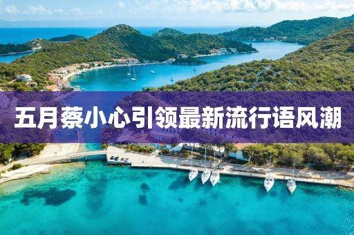 五月蔡小心引领最新流行语风潮