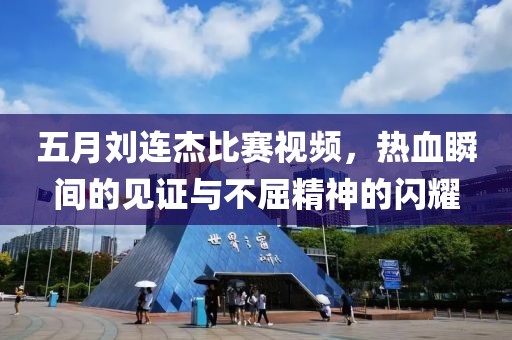五月刘连杰比赛视频，热血瞬间的见证与不屈精神的闪耀