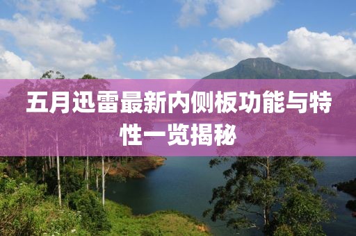 五月迅雷最新内侧板功能与特性一览揭秘