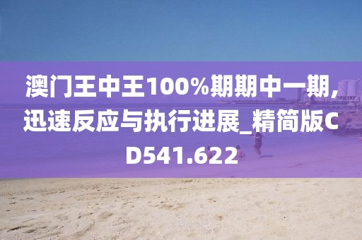 澳门王中王100%期期中一期,迅速反应与执行进展_精简版CD541.622