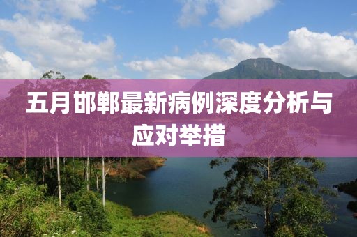 五月邯郸最新病例深度分析与应对举措
