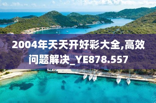 2004年天天开好彩大全,高效问题解决_YE878.557