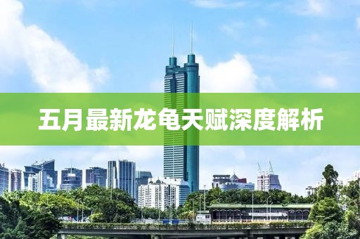 五月最新龙龟天赋深度解析