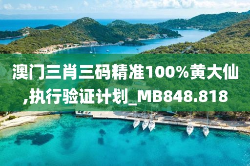 澳门三肖三码精准100%黄大仙,执行验证计划_MB848.818