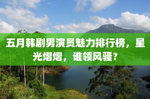 五月韩剧男演员魅力排行榜，星光熠熠，谁领风骚？