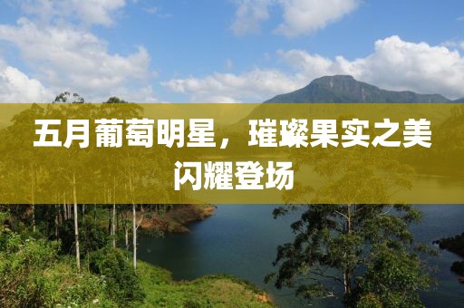 五月葡萄明星，璀璨果实之美闪耀登场