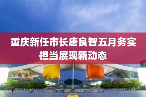 重庆新任市长唐良智五月务实担当展现新动态