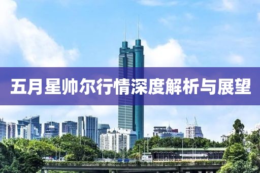 五月星帅尔行情深度解析与展望