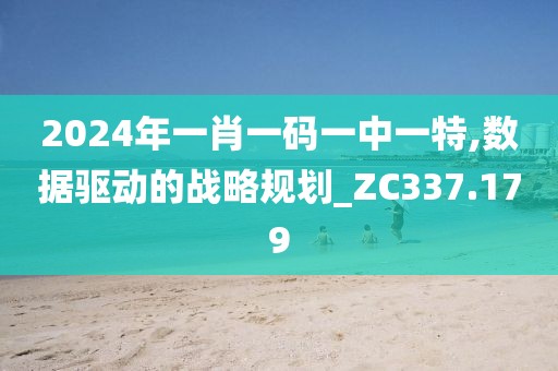 2024年一肖一码一中一特,数据驱动的战略规划_ZC337.179