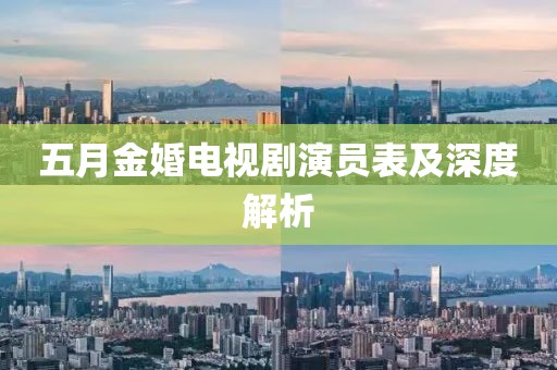 五月金婚电视剧演员表及深度解析