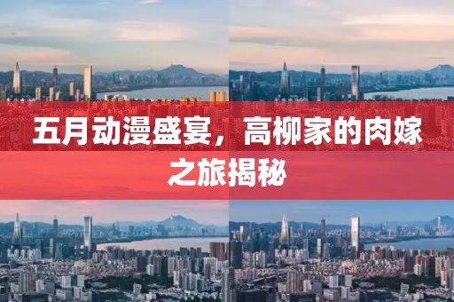 五月动漫盛宴，高柳家的肉嫁之旅揭秘