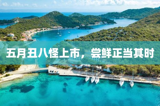 五月丑八怪上市，尝鲜正当其时