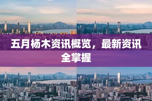 五月杨木资讯概览，最新资讯全掌握