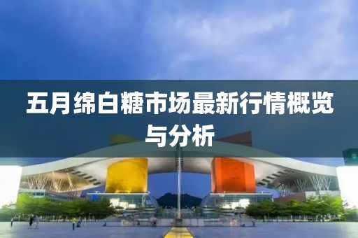 五月绵白糖市场最新行情概览与分析