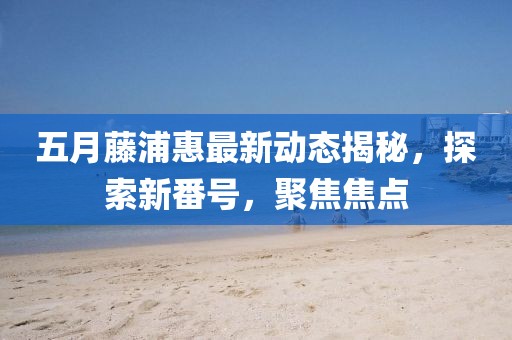 五月藤浦惠最新动态揭秘，探索新番号，聚焦焦点