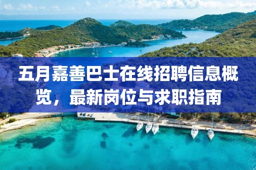 五月嘉善巴士在线招聘信息概览，最新岗位与求职指南