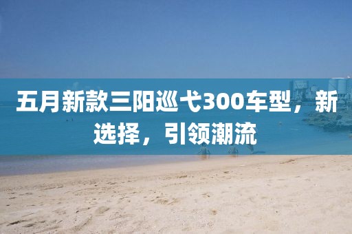 五月新款三阳巡弋300车型，新选择，引领潮流