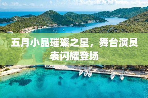 五月小品璀璨之星，舞台演员表闪耀登场