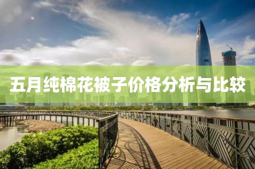 五月纯棉花被子价格分析与比较