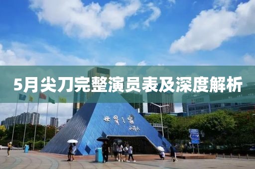 5月尖刀完整演员表及深度解析