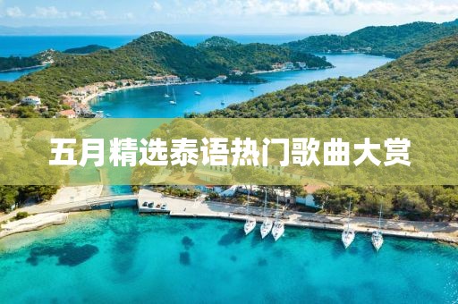 五月精选泰语热门歌曲大赏